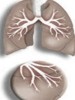 Síntomas y causas del asma