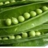 Alimentos contra el c�ncer
