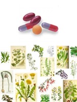 Malas combinaciones de plantas medicinales