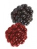 Propiedades nutritivas de la mora y para que sirven las moras