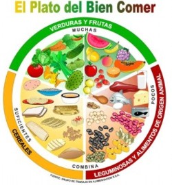 Qué contiene el plato del bien comer