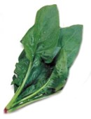 Vitaminas y minerales de la espinaca