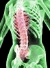 Dieta para la osteoporosis