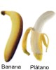 Diferencias entre el plátano y la banana