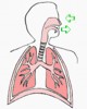 Ejercicios para pulmones