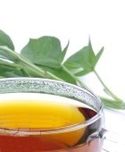 Propiedades medicinales del té de salvia