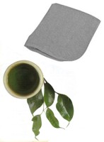 Infusión de hojas de té verde