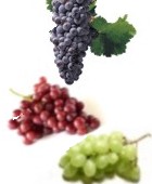 Las uvas y sus virtudes medicinales