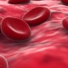 C�mo se compone la sangre