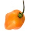 Para que sirve el chile habanero