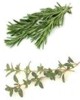 Remedio natural para la bronquitis cr�nica