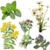 Como aliviar el estr�s naturalmente