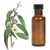 Beneficios y usos del aceite de eucalipto