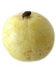 Guayaba para la diarrea