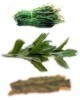 Remedios con hierbas medicinales para curar enfermedades