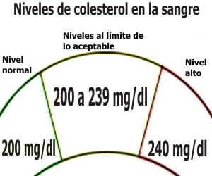 Quer Emagrecer? Erros Na Jejum São Capazes De Comprometer A Perda Com Peso