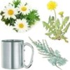 Infusiones para el mal aliento