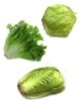 Información nutrimental de la lechuga