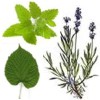 Sedantes y tranquilizantes naturales