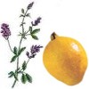 Como se hace el jugo de guayaba con alfalfa