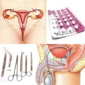 En qué consiste la esterilización humana