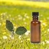 Aceite esencial para combatir la alergia primaveral