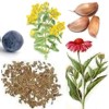 Plantas medicinales antienvejecimiento