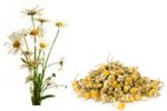 Secado de hierbas medicinales