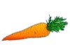 Propiedades de las zanahorias contra el colesterol