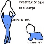 De cuánta agua se compone el hombre