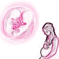 Qu� es un embarazo m�ltiple y c�mo puede producirse