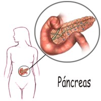 Causas y s�ntomas de la pancreatitis aguda