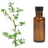 Propiedades del aceite esencial de mirra