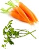 Para qu� sirve el jugo de zanahoria con perejil