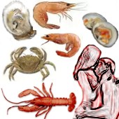�Los mariscos como afrodisiacos?