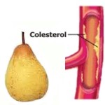 La pera para combatir el colesterol