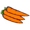 La zanahoria sirve para el estreñimiento