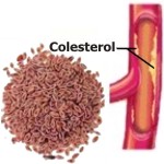 Propiedades medicinales de zaragatona para reducir el colesterol
