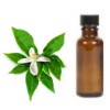 Propiedades del aceite esencial de neroli