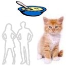 Qué es la toxoplasmosis y cómo se transmite