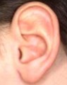 Cuidados del sentido del oído humano