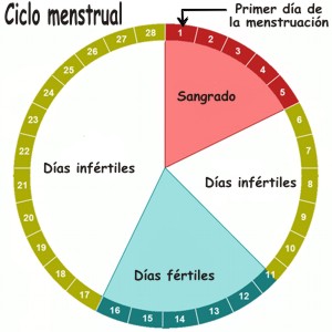 Como saber cuál es el primer día del ciclo menstrual femenino