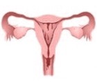 Problemas comunes que se enfrentan ocasionalmente durante el periodo menstrual