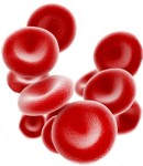 ¿A qué se debe la baja producción de glóbulos rojos?