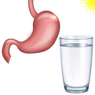 ¿Qué sucede al beber agua con el estómago vacío?