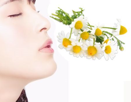 Beneficios del té de manzanilla para descongestionar la nariz